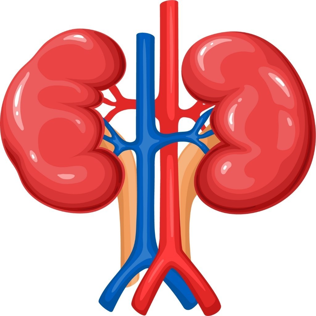 Dialysate Infusion