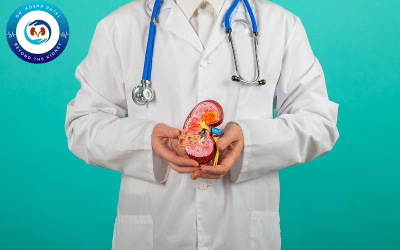 Kidney