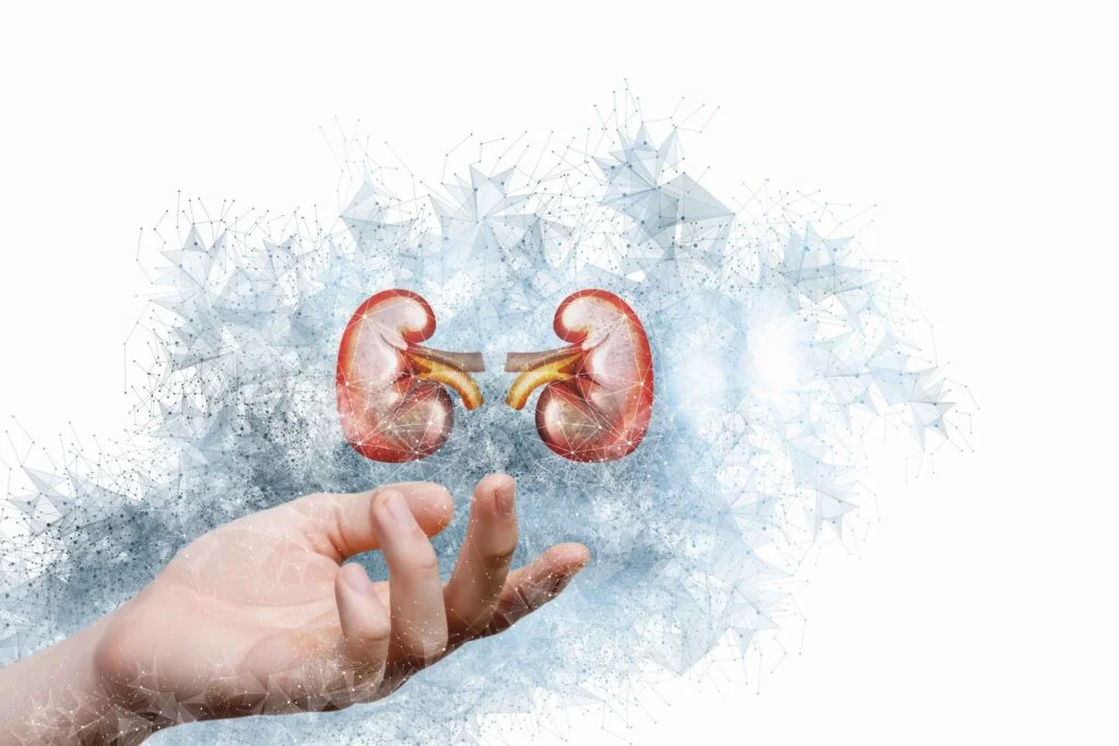 Kidney Image