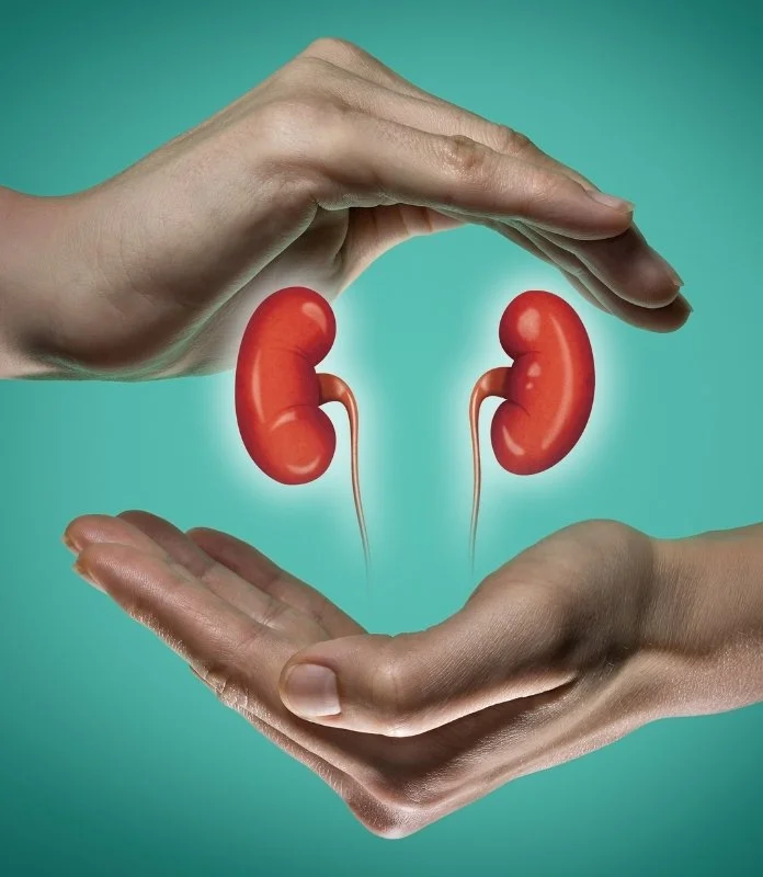 Kidney Image